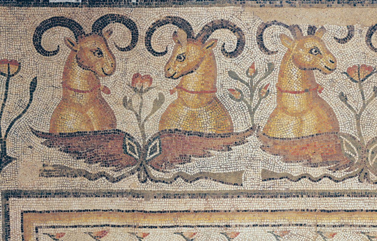 (dettaglio) dal bordo di un pavimento, dal cortile di una villa a Daphne, Antiochia da Roman