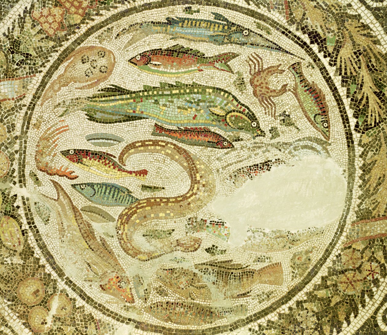 Dettaglio di pesci, Le Quattro Stagioni da Roman