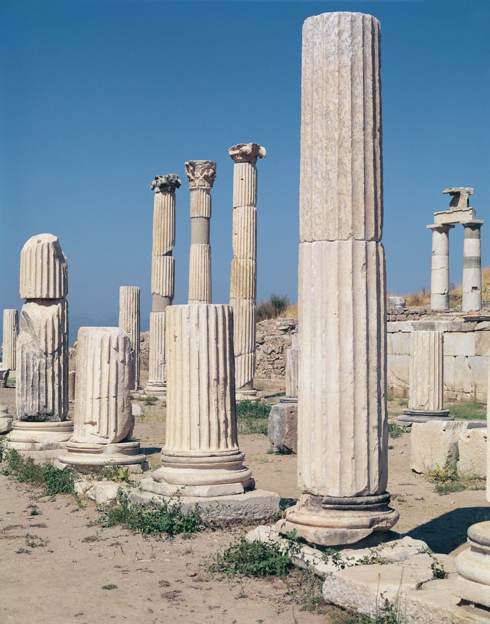 (dettaglio) delle colonne del Mercato Superiore Agora da Roman