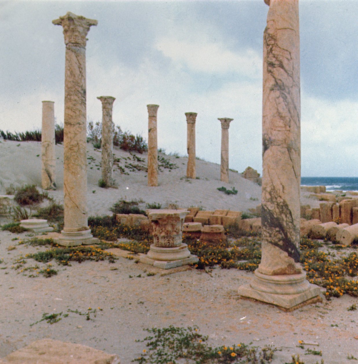 Scavi nelle dune da Roman