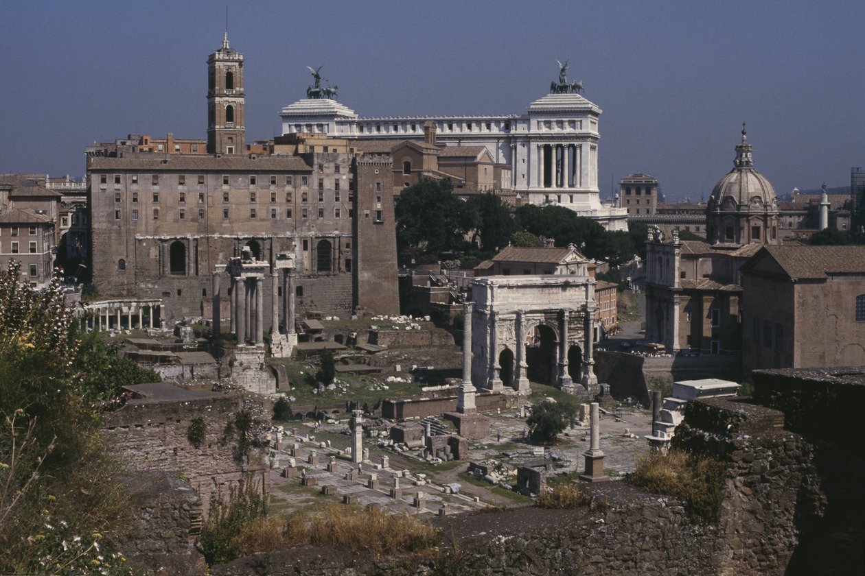 Vista generale del Foro da Roman