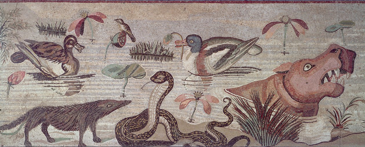 Scena del Nilo, dettaglio di anatre, un serpente e un ippopotamo, dalla Casa del Fauno, Pompei da Roman