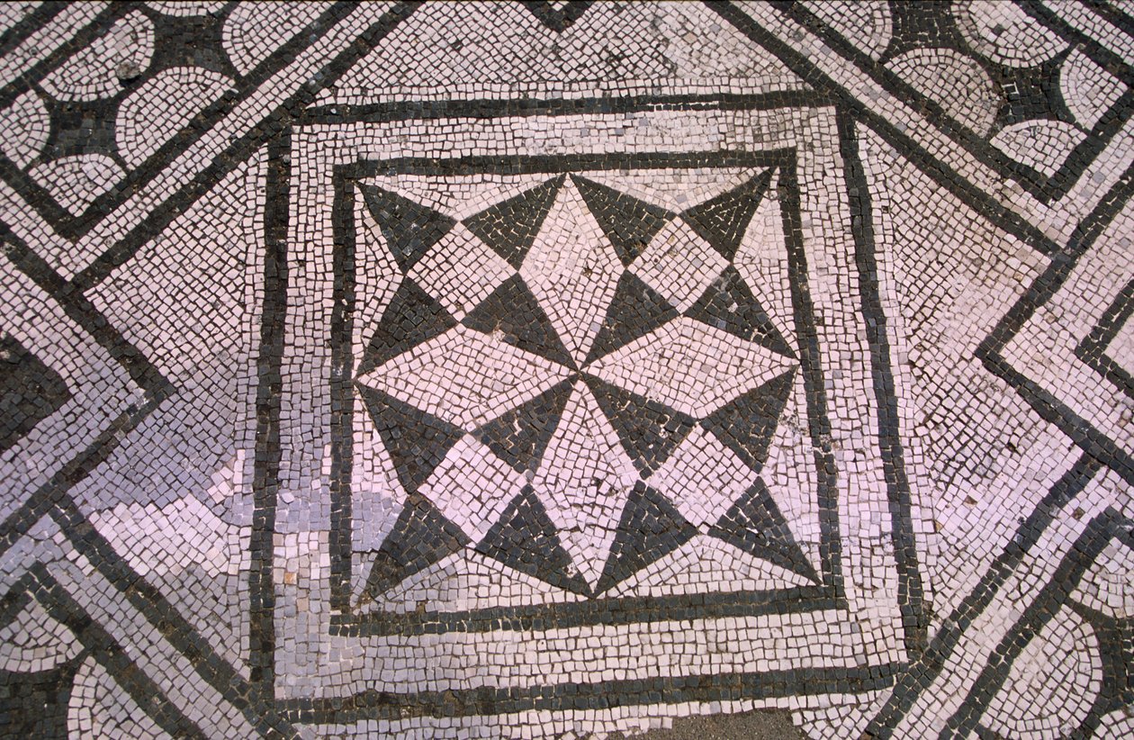 Pavimentazione decorata (mosaico) da Roman