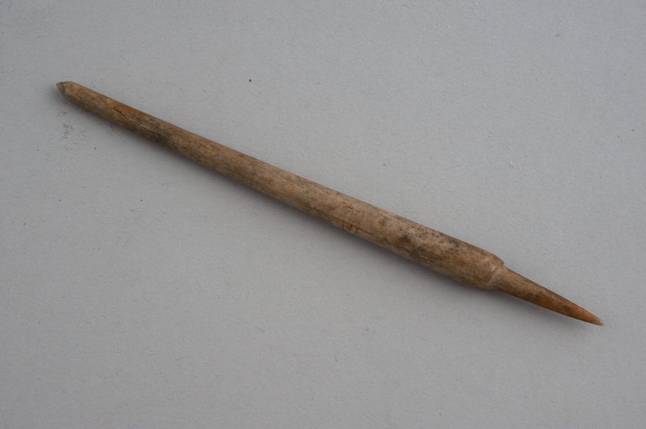 Penna (osso) da Roman