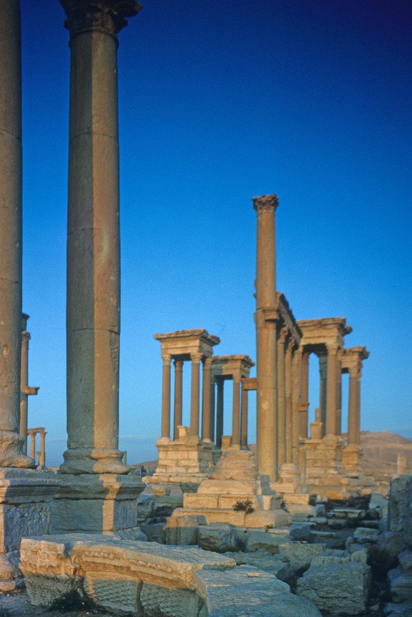 Resti di colonne sulla strada colonnata da Roman