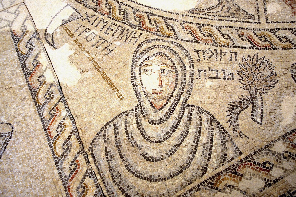 Mosaico di Sepphoris, Tzippori da Roman