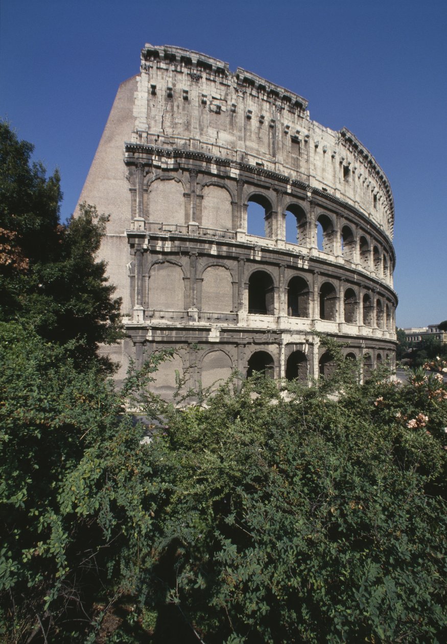 Il Colosseo, costruito 70-80 d.C. da Roman