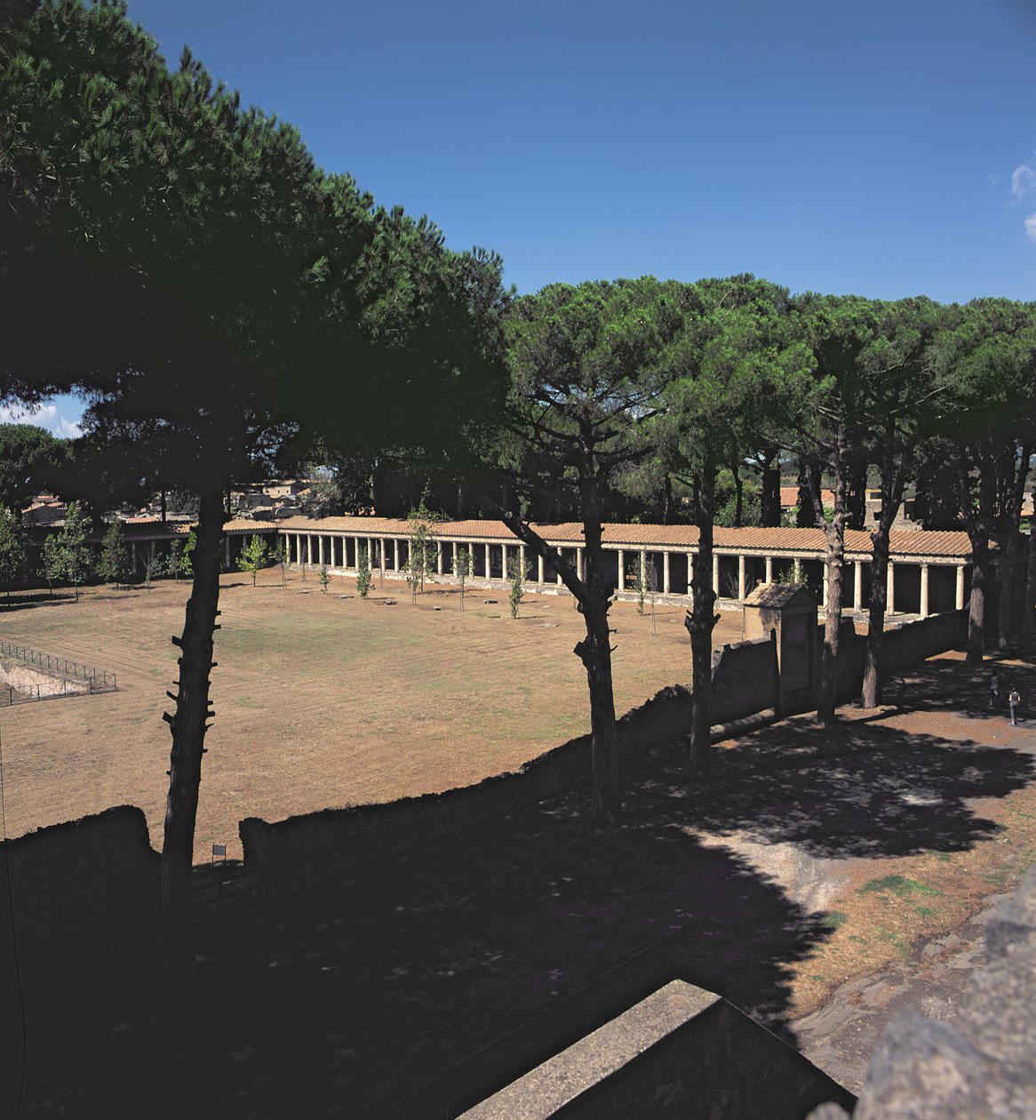 La grande palestra da Roman