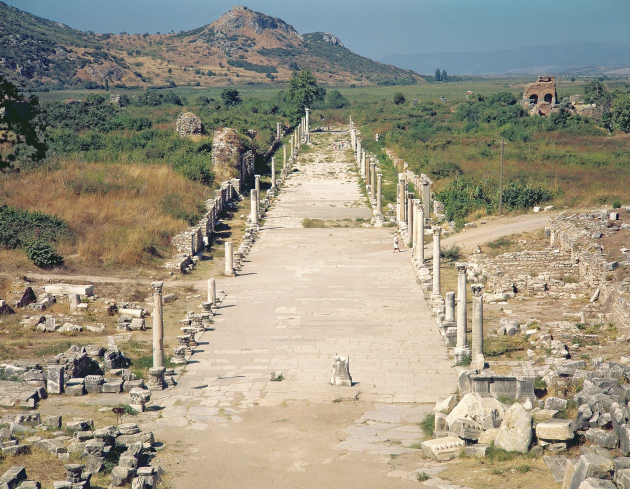 Vista della Via Arcadiana da Roman