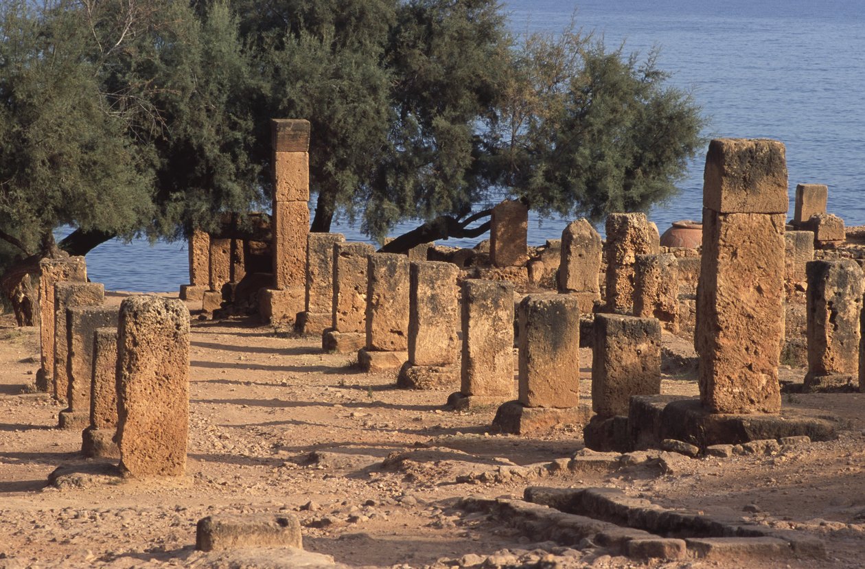 Vista del Cardo da Roman