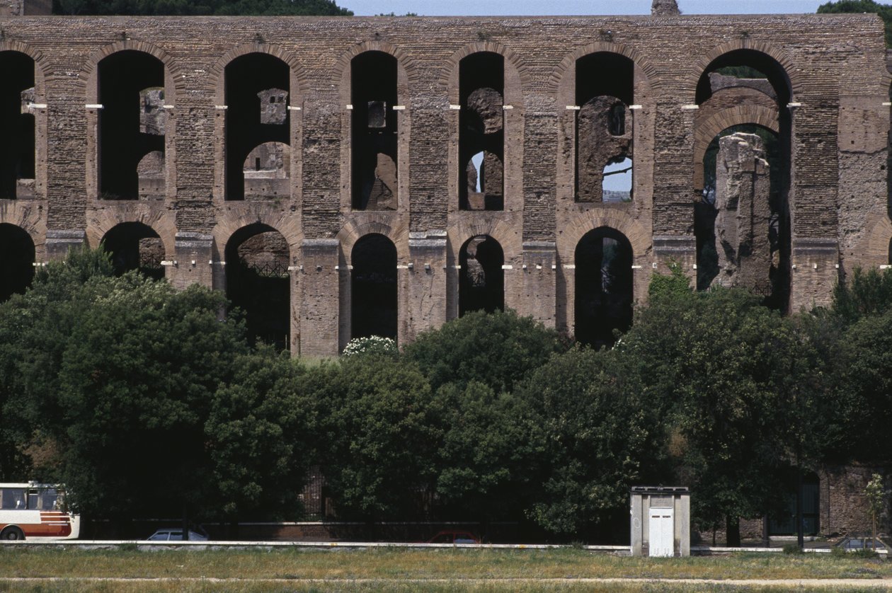 Veduta del Palatino dal Circo Massimo da Roman