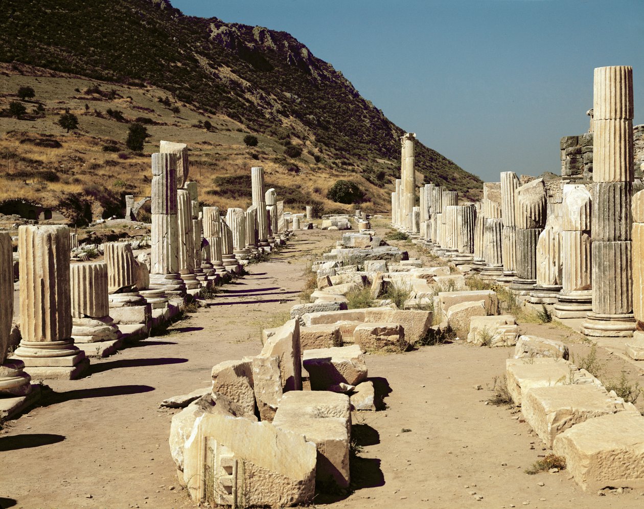 Veduta delle colonne sull