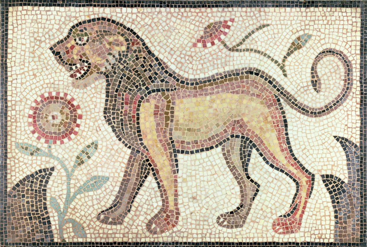 Leone, da Tunisi, probabilmente fine V secolo d.C. (mosaico) da Roman Roman