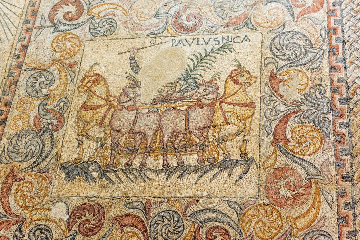 Mosaici che raffigurano un auriga che guida quattro cavalli da Roman Roman