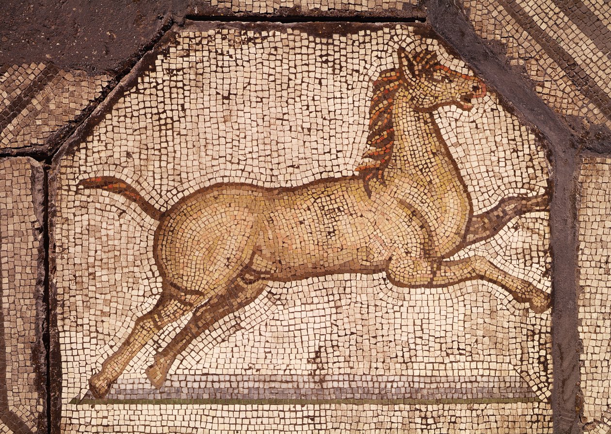 Un cavallo, dettaglio da Orfeo che incanta gli animali da Roman