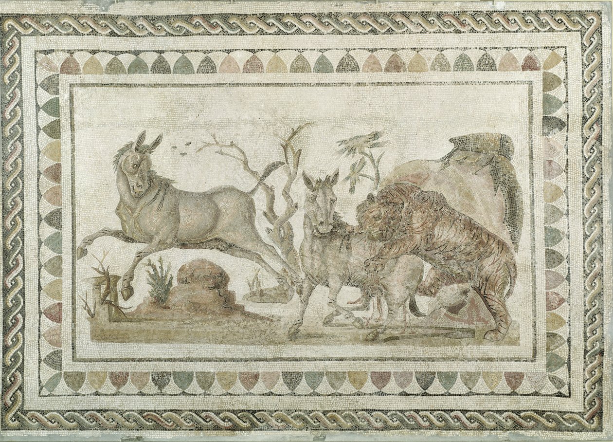 Una tigre che attacca due onagri, dalla Casa della Processione Dionisiaca, El-Jem (Thysdrus) (mosaico) da Roman