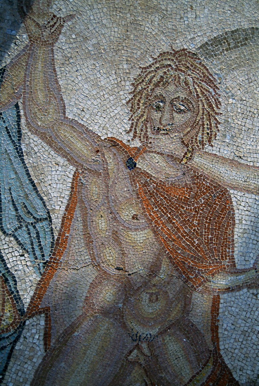 Rapimento di Ila da parte delle Ninfe, mosaico nella Casa di Venere nella città romana di Volubilis (Lista del Patrimonio Mondiale UNESCO) da Roman