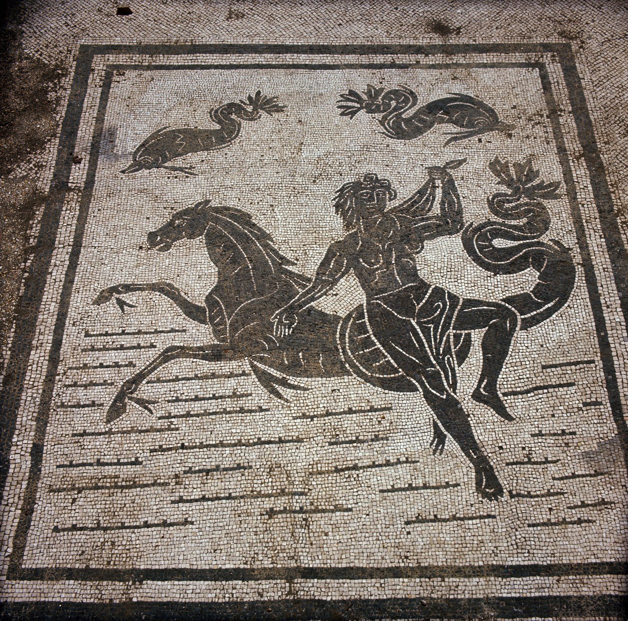 Antica Ostia. Piazza delle Corporazioni. Mosaico della Corporazione dei Marinai di Sabratha. Una ninfa e un cavallo marino da Roman