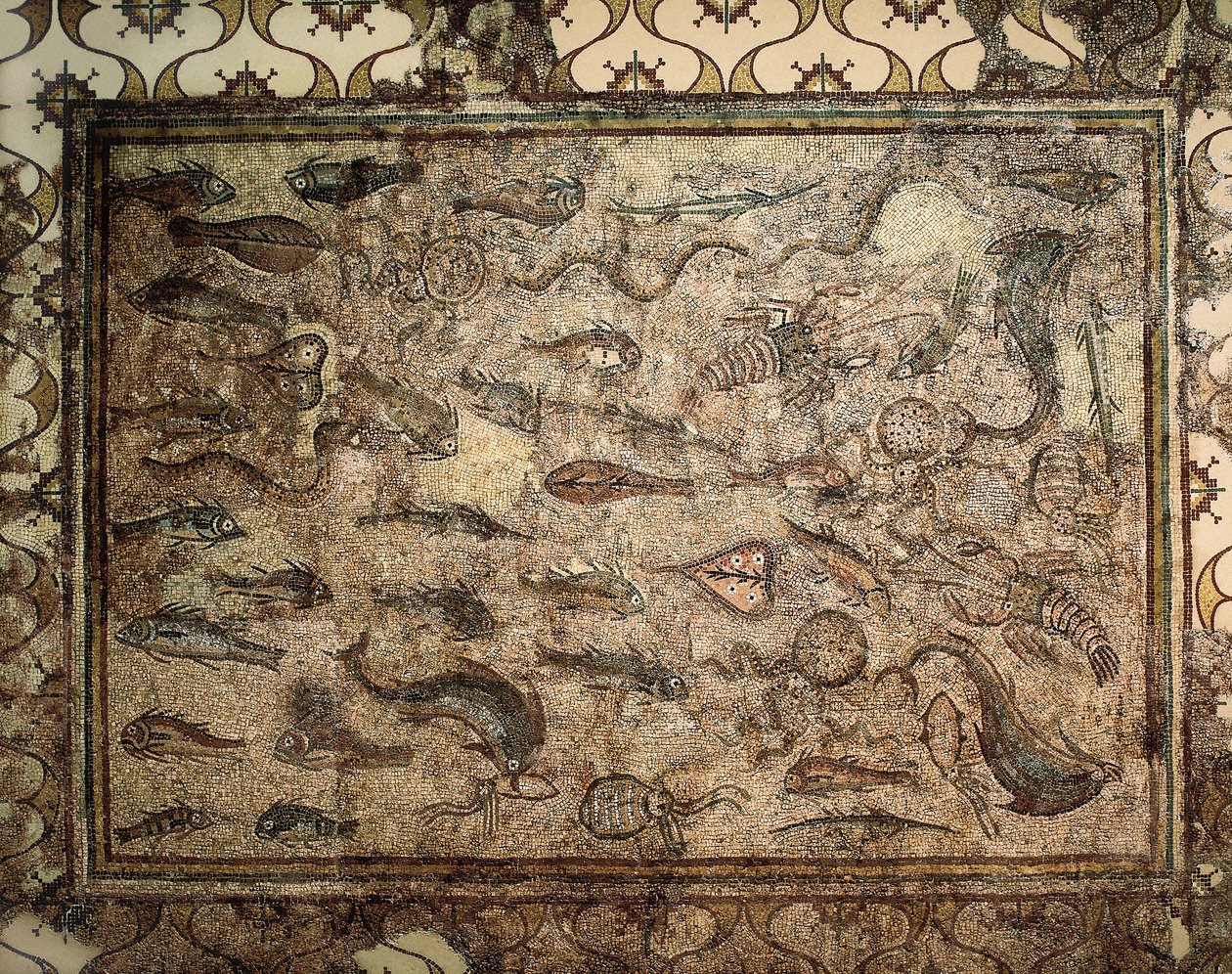 Arte romana: mosaico dei pesci da Roman