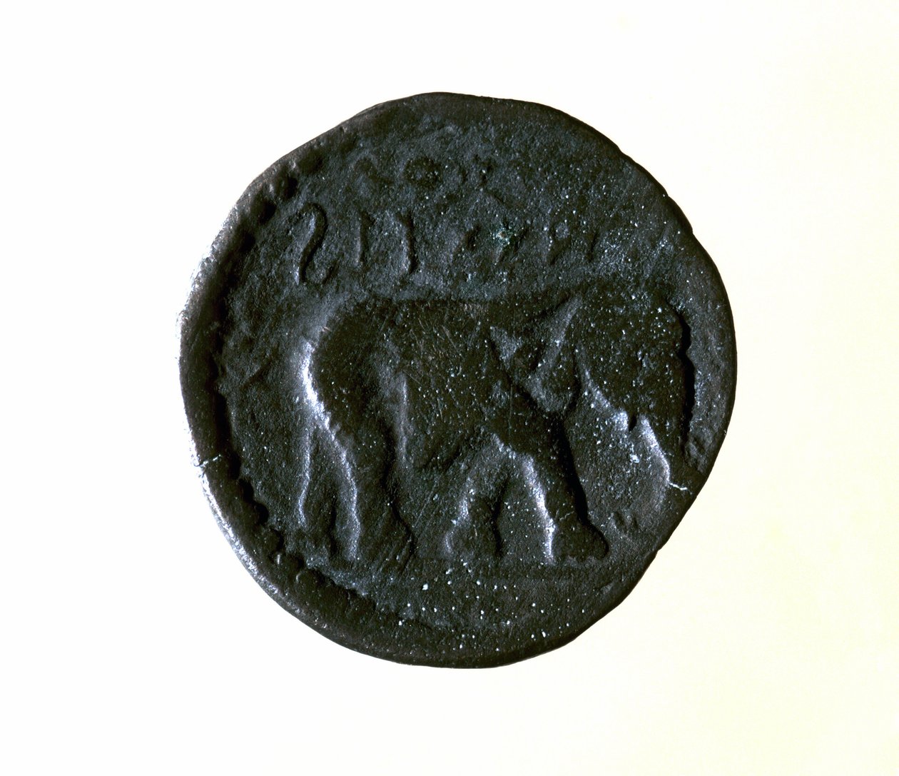 Moneta di Cartagine rappresentante un elefante. III o II secolo a.C. da Roman