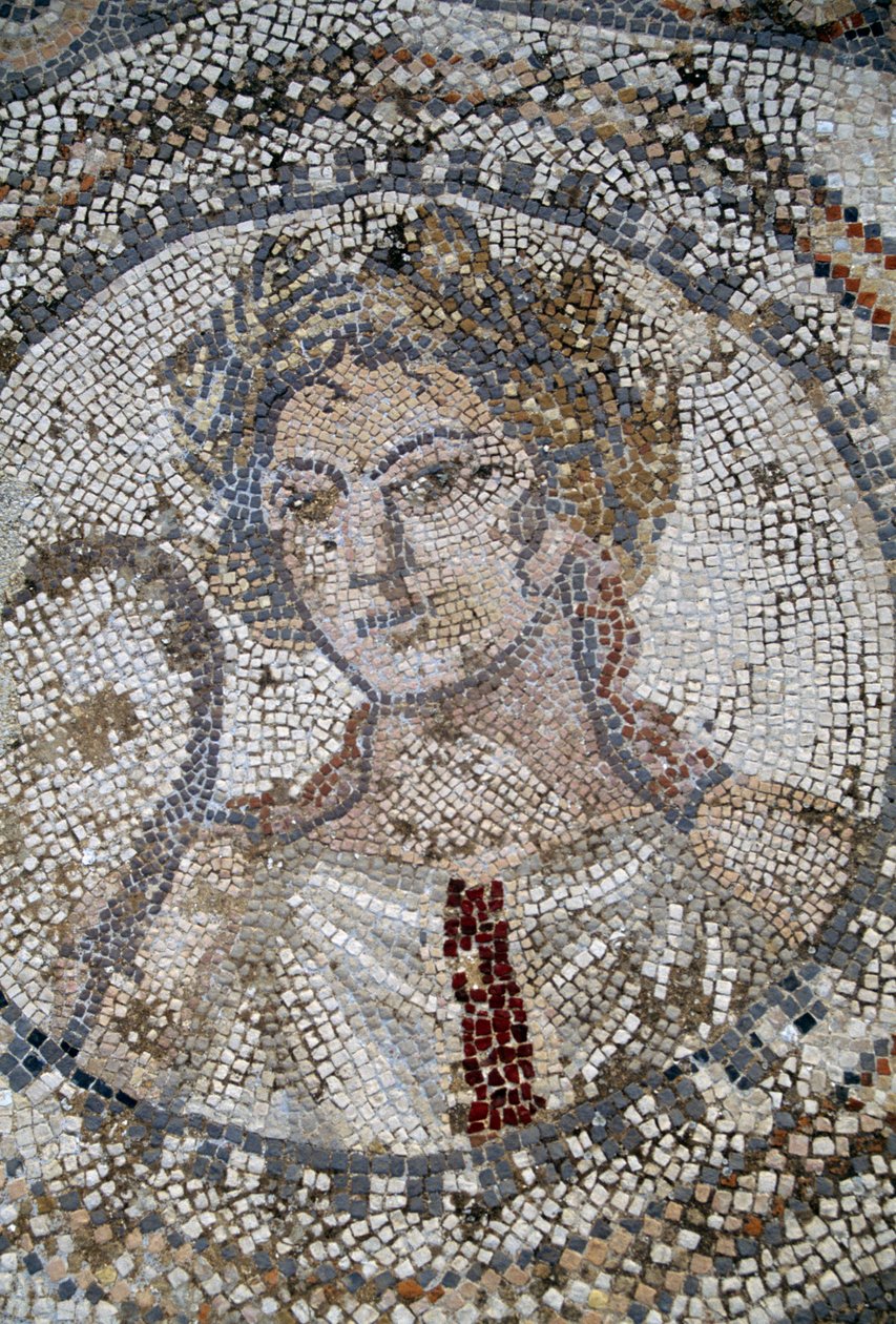 Volto femminile, mosaico nella città romana di Volubilis da Roman