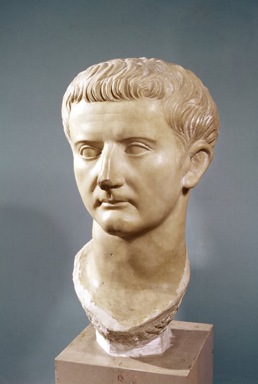 Testa dell