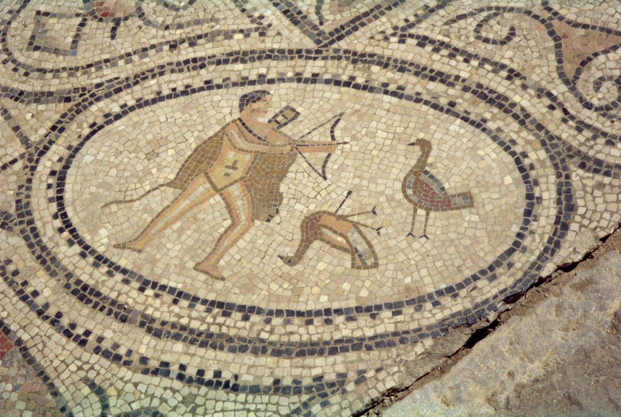 Ercole e gli uccelli stinfalidi, dal pavimento della 