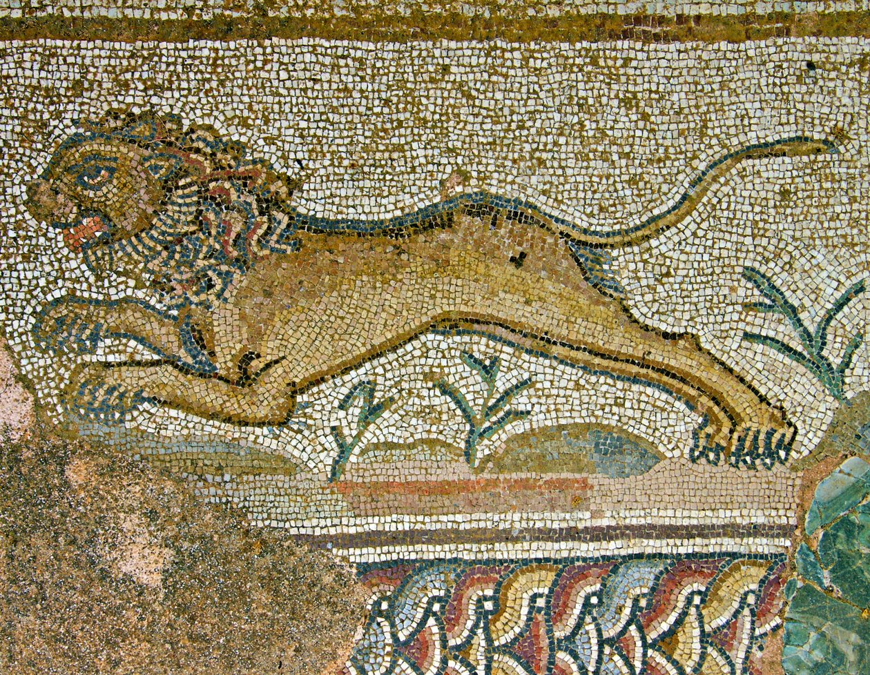 Scena di caccia (dettaglio di un leone) da Roman
