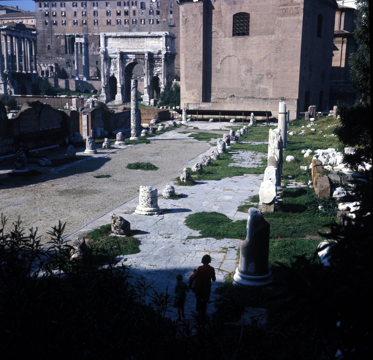 Posizione della Basilica Emilia nel Foro Romano costruita per la prima volta nel 179 a.C. e restaurata molte volte grazie alla famiglia Emilia. Roma da Roman