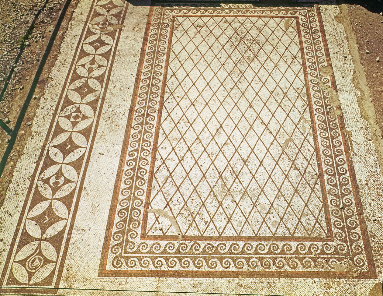 Pavimento a Mosaico dalla Casa dei Messii (mosaico) da Roman