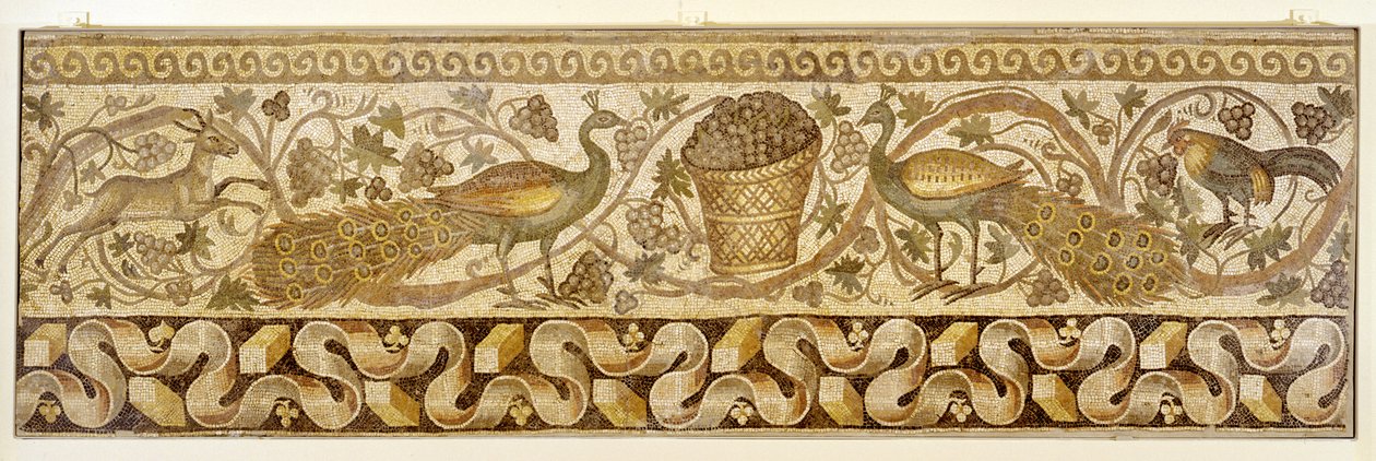 Mosaico di un bordo a voluta di vite con pavoni, Antiochia, 526-540 da Roman
