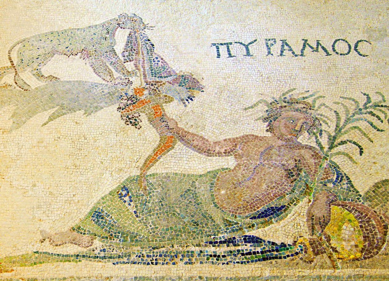 Piramide e Tisbe (dettaglio di Piramide e il leopardo) da Roman