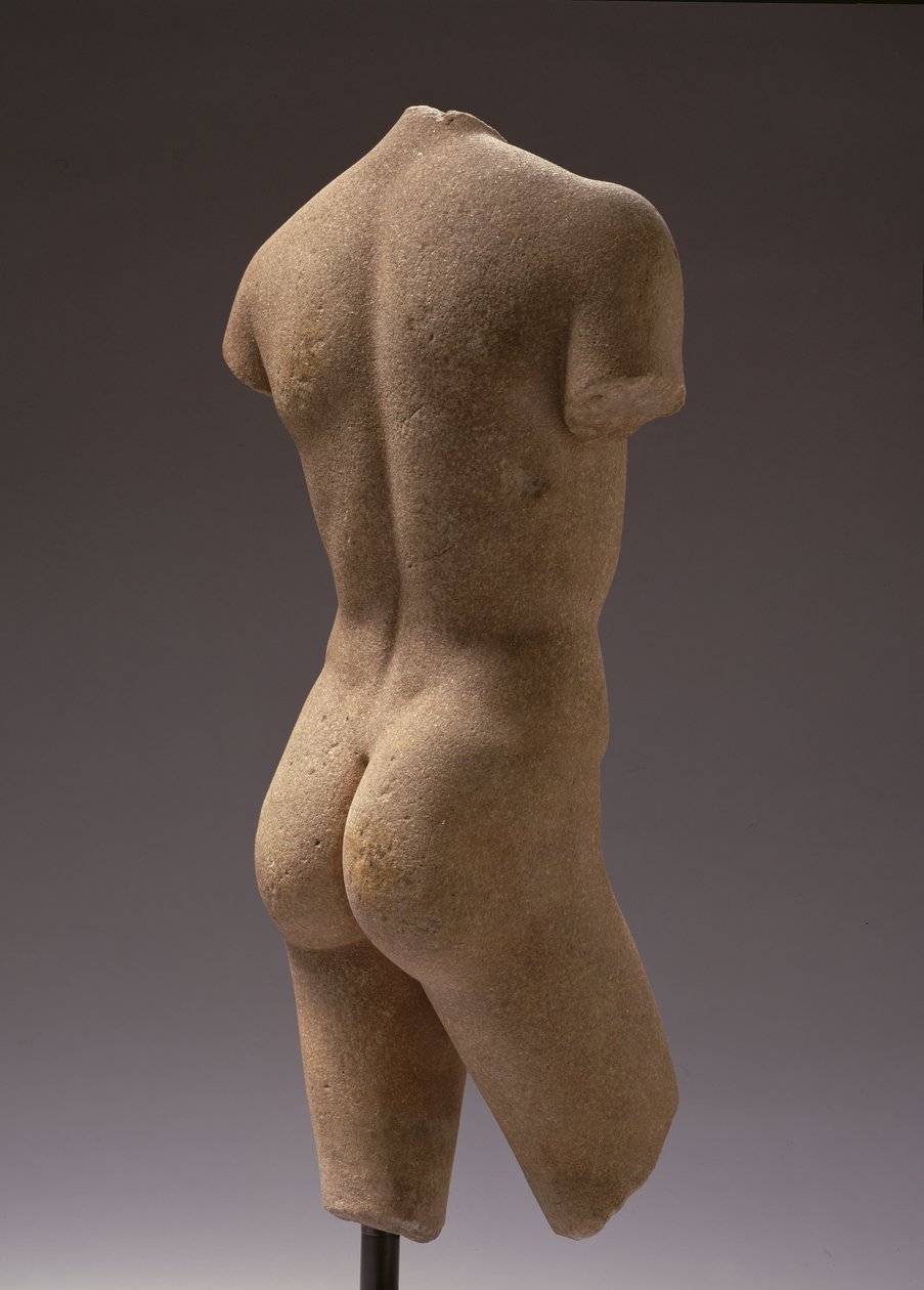Vista posteriore di un giovane nudo da Roman