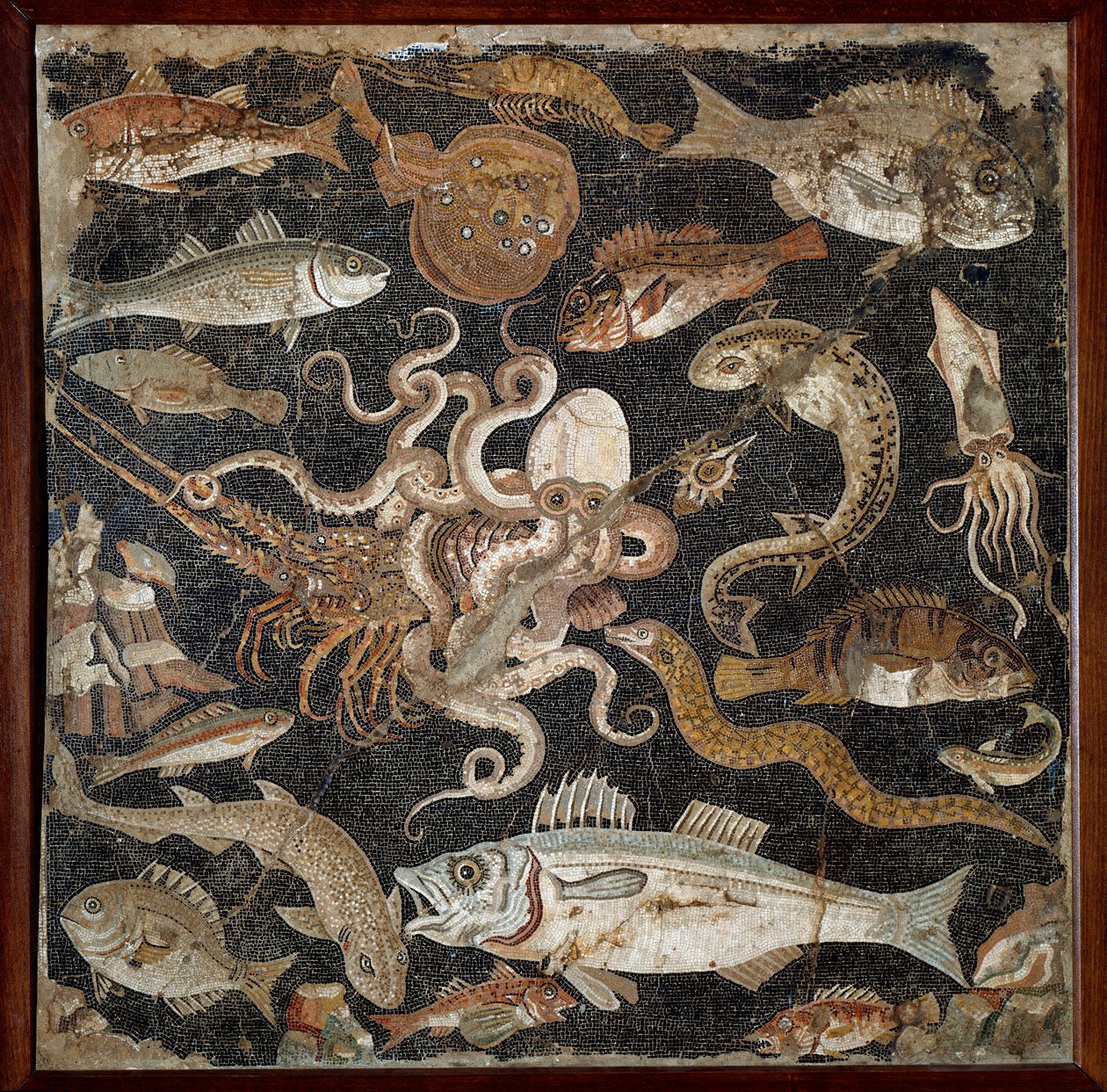 Arte romana: fauna marina. Mosaico del II secolo. Napoli, Museo Archeologico Nazionale, inv. 120177 da Roman