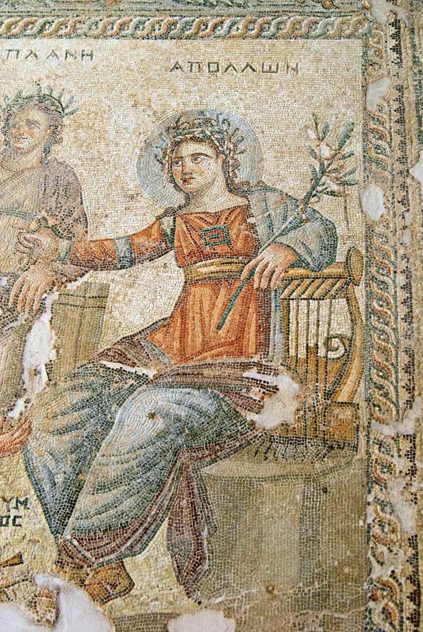 Il mosaico di Apollo e Marsia, (dettaglio) di Plinio e Apollo, Casa di Aion, Paphos, Cipro da Roman