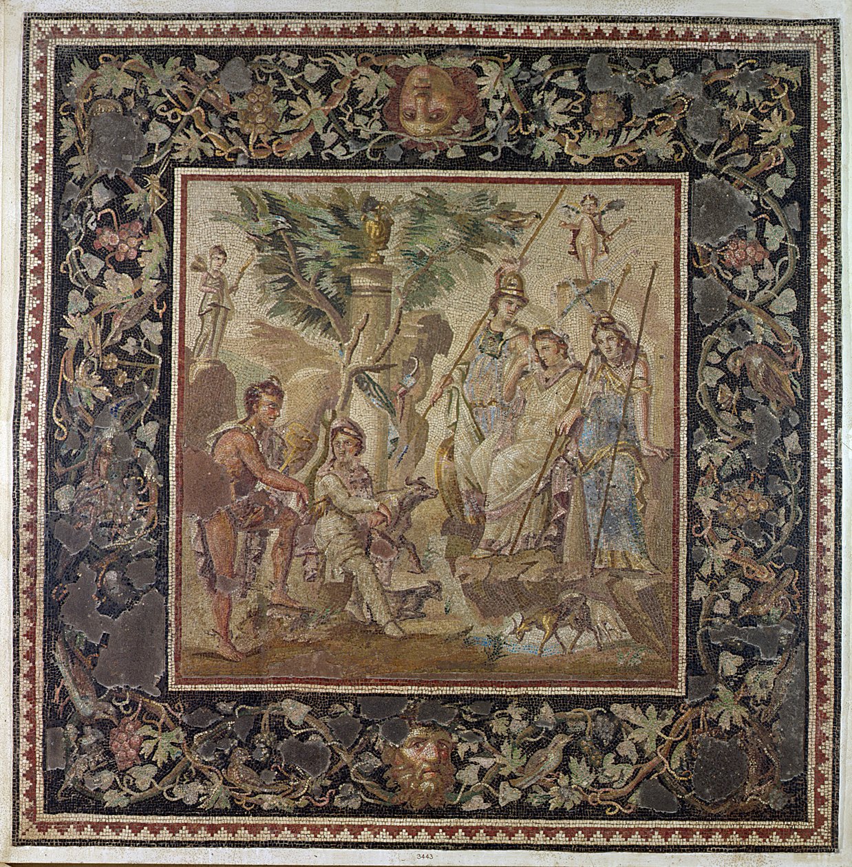Il giudizio di Paride, dalla Casa dell