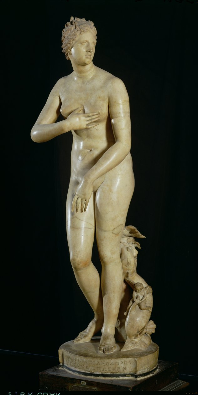 Venere dei Medici, copia dell