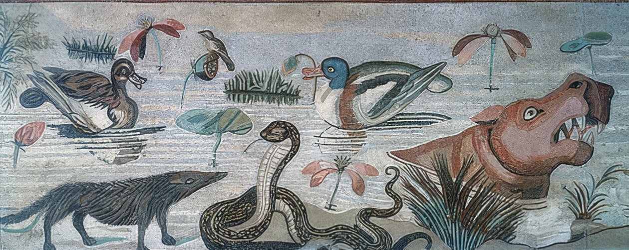 Animali nel Nilo, dalla Casa del Fauno, Pompei da Roman