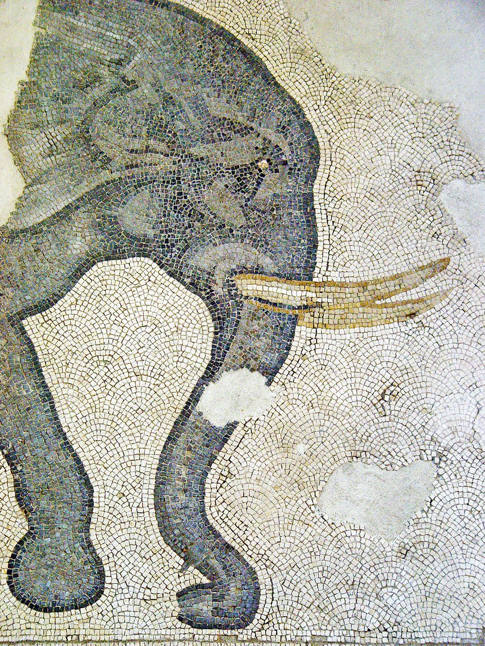 Immagine sconosciuta da Roman