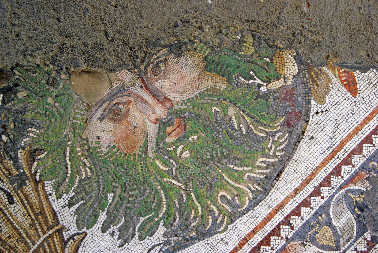 Immagine sconosciuta da Roman
