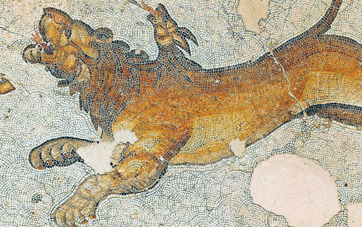 Immagine sconosciuta da Roman