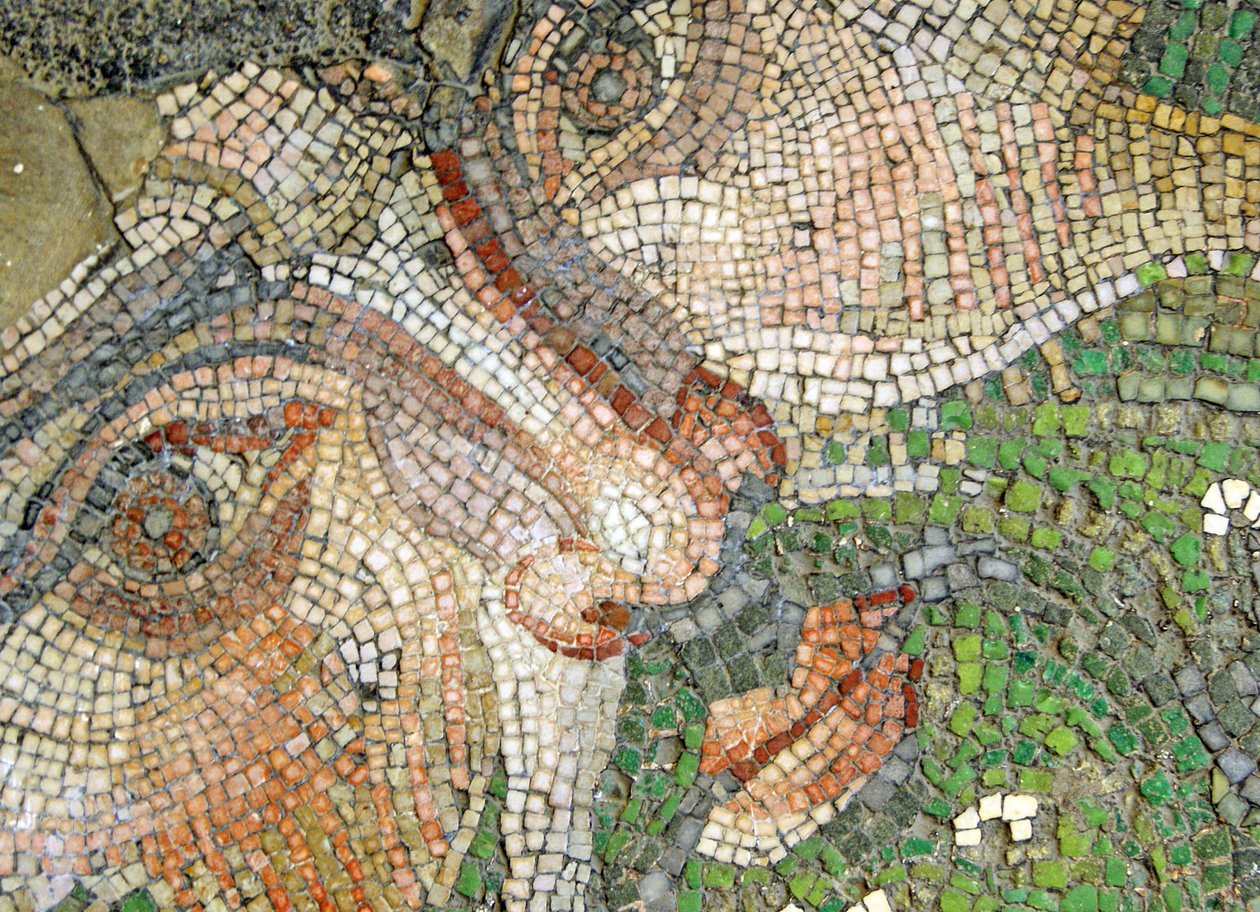 Immagine sconosciuta da Roman