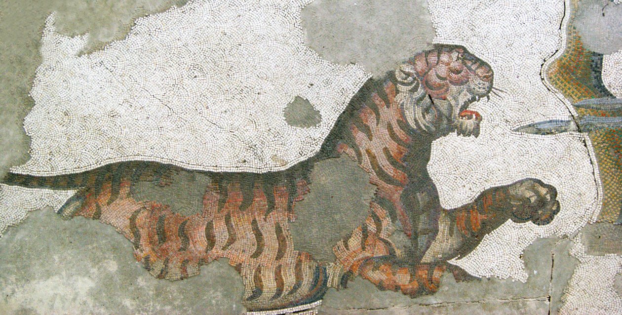 Immagine sconosciuta da Roman