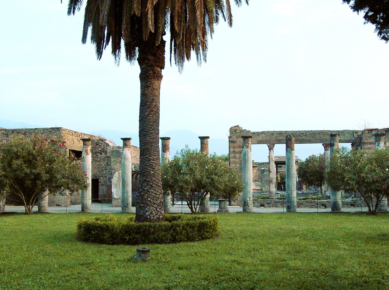 Vista della Casa dei Vettii da Roman