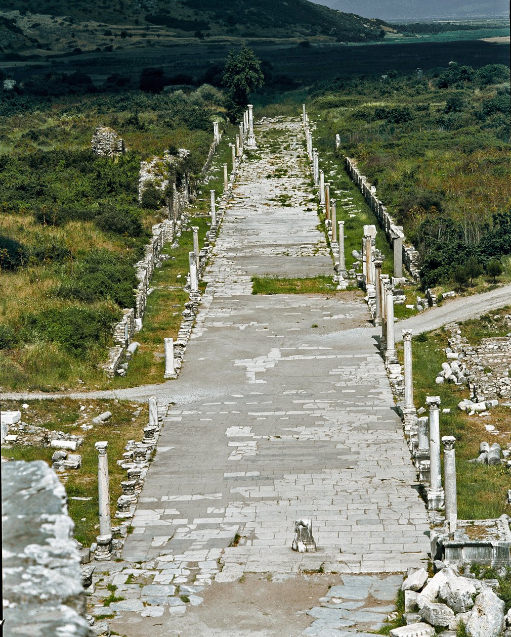 Veduta della Via del Porto (o Via Arcadiana) che collega il porto al teatro, II secolo da Roman