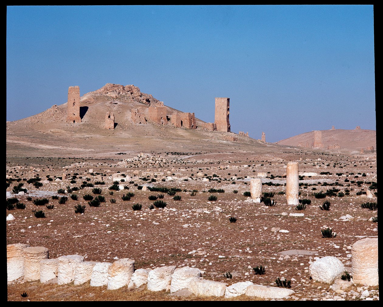 Veduta delle tombe a torre di Iamblichus ed Elahbel da Roman