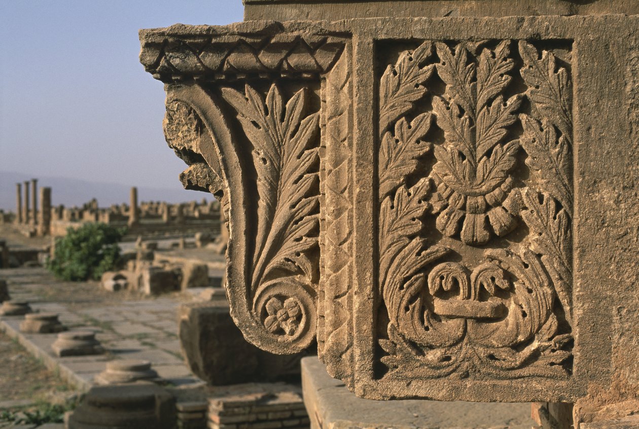 Frammento Architettonico con Decorazione Intagliata, Mercato di Sertius, Alto Periodo Imperiale (27 a.C.-395 d.C.) da Roman Imperial Period