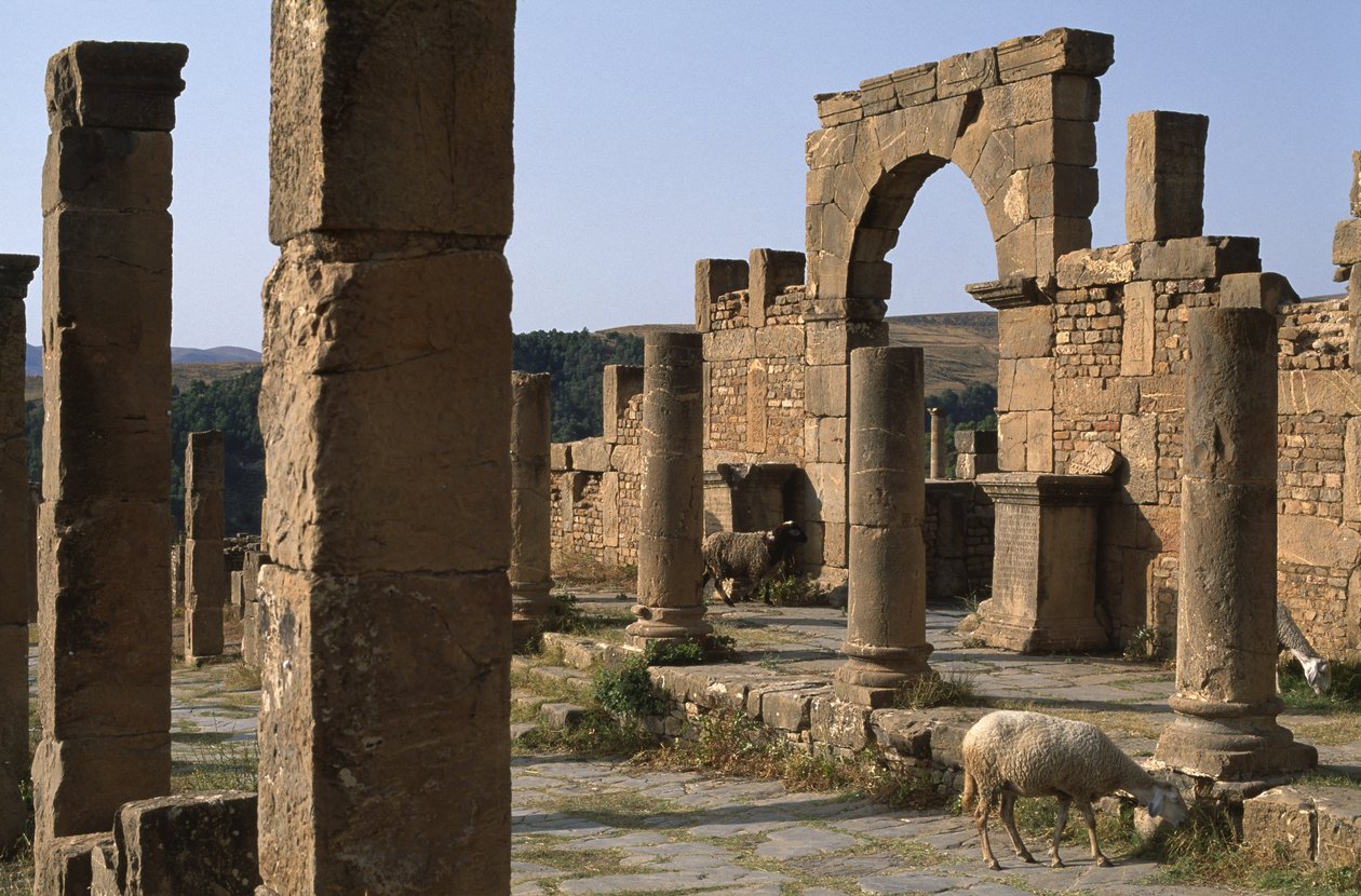 Cardo e ingresso del Mercato di Cosinio, Alto Periodo Imperiale (27 a.C.-395 d.C.) da Roman Imperial Period