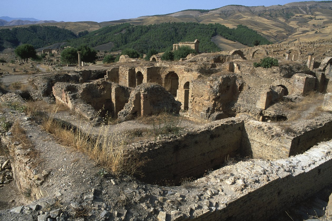 Vista generale delle terme, Alto Periodo Imperiale (27 a.C.-395 d.C.) da Roman Imperial Period