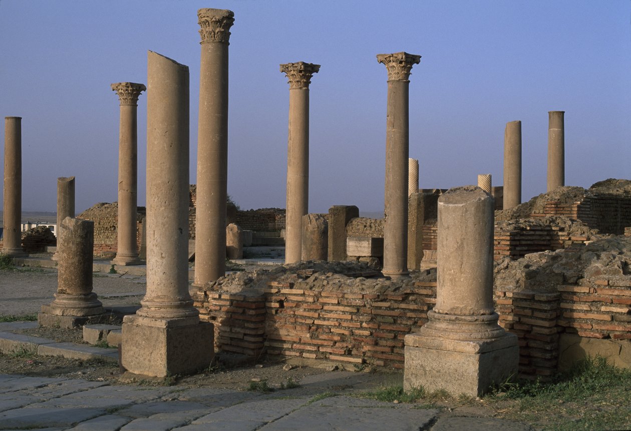 Vista della Biblioteca, c.100 d.C., Periodo Alto Imperiale (27 a.C.-395 d.C.) da Roman Imperial Period